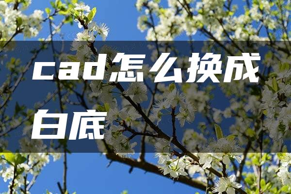 cad怎么换成白底