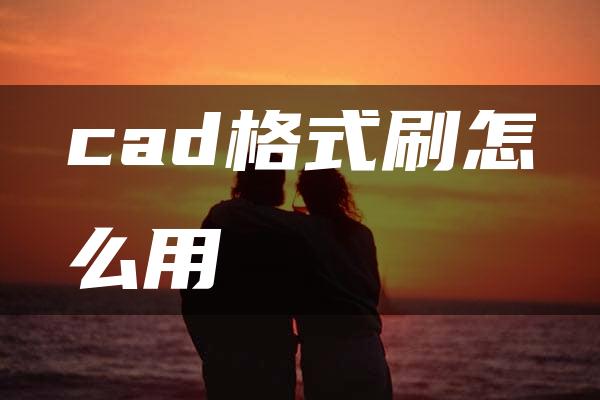 cad格式刷怎么用