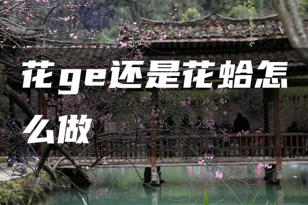 花ge还是花蛤怎么做