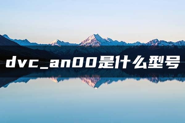 dvc_an00是什么型号