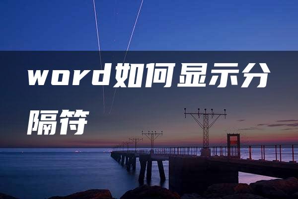 word如何显示分隔符