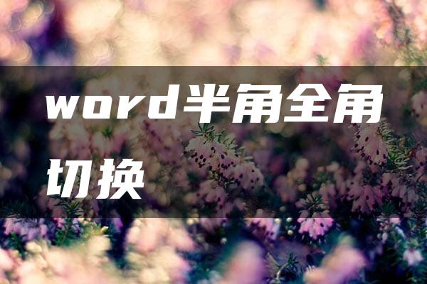 word半角全角切换