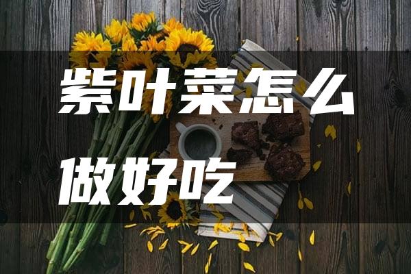 紫叶菜怎么做好吃