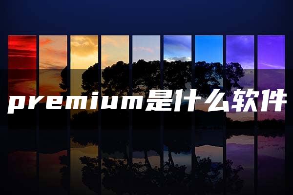 premium是什么软件