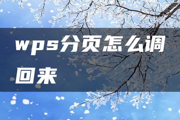 wps分页怎么调回来