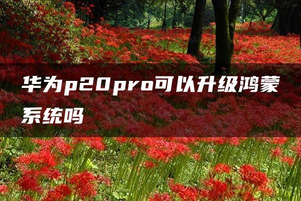 华为p20pro可以升级鸿蒙系统吗