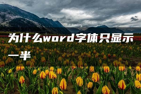 为什么word字体只显示一半