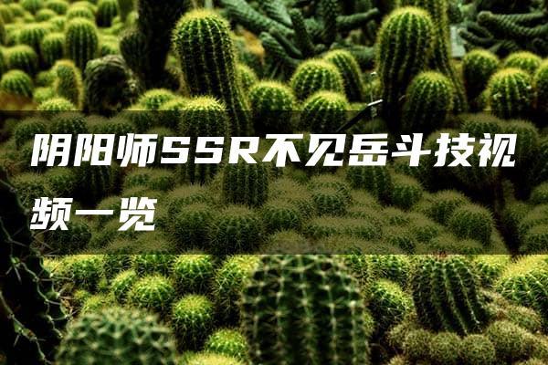 阴阳师SSR不见岳斗技视频一览