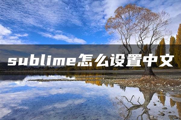 sublime怎么设置中文