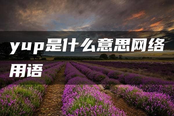 yup是什么意思网络用语