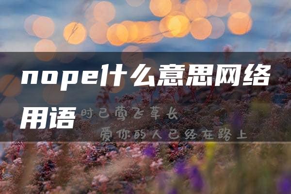 nope什么意思网络用语