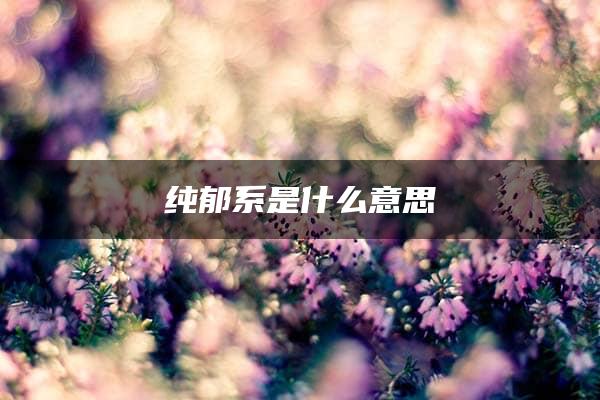 纯郁系是什么意思