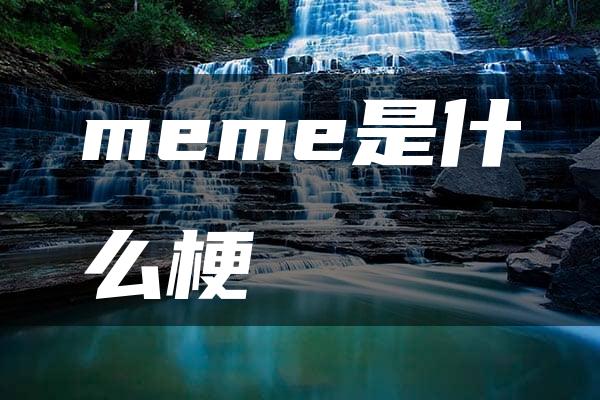 meme是什么梗