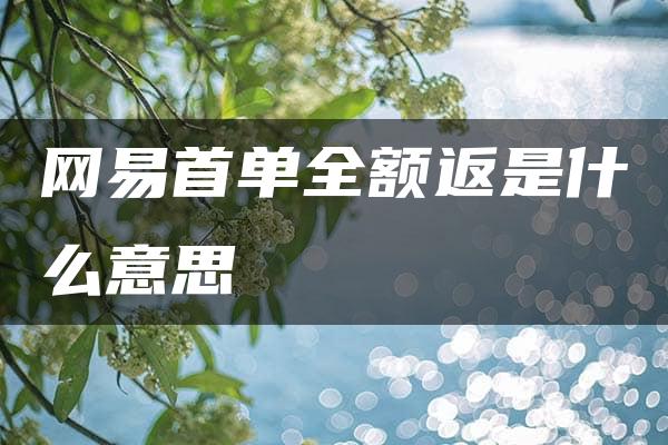 网易首单全额返是什么意思