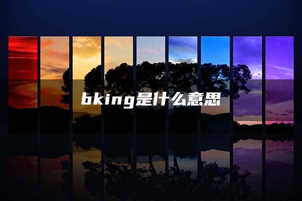 bking是什么意思