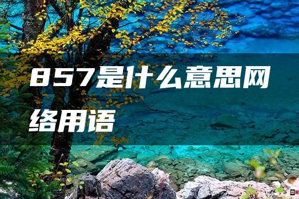 857是什么意思网络用语