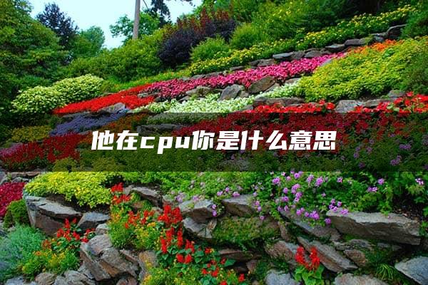 他在cpu你是什么意思