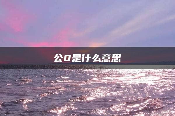 公0是什么意思