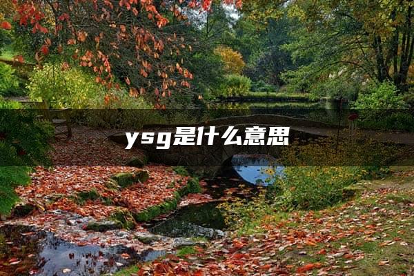 ysg是什么意思