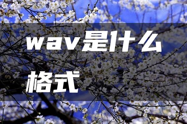 wav是什么格式