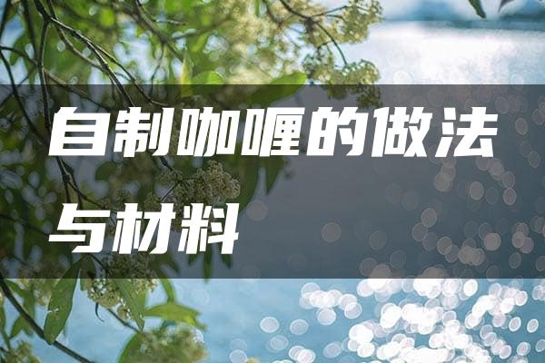 自制咖喱的做法与材料