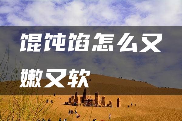 馄饨馅怎么又嫩又软