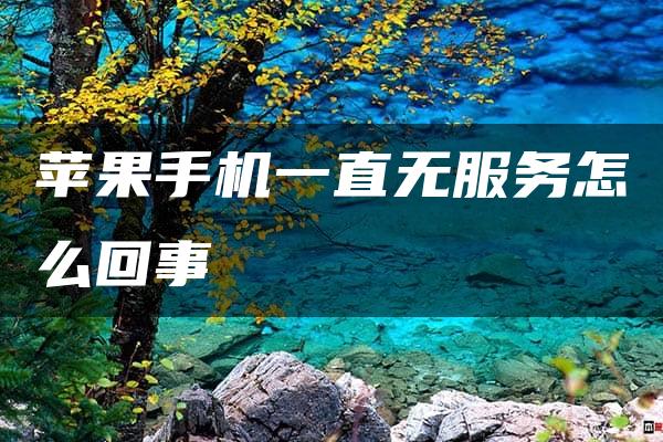 苹果手机一直无服务怎么回事