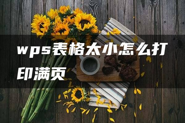 wps表格太小怎么打印满页