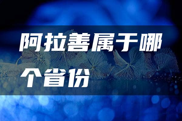 阿拉善属于哪个省份