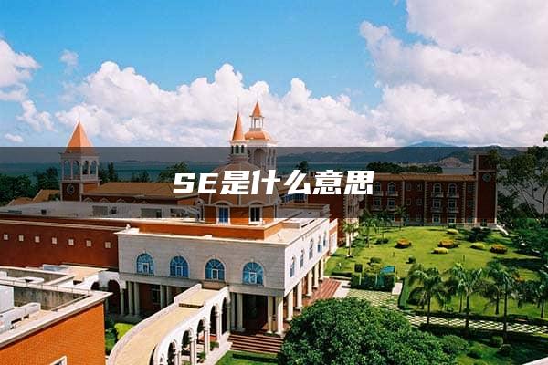 SE是什么意思