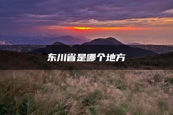 东川省是哪个地方