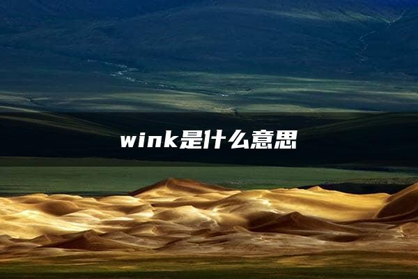 wink是什么意思