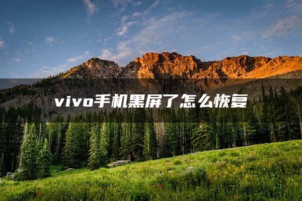 vivo手机黑屏了怎么恢复