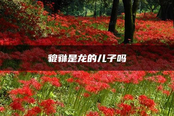 貔貅是龙的儿子吗