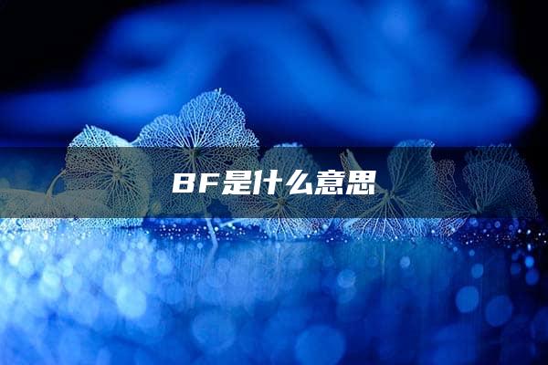 BF是什么意思