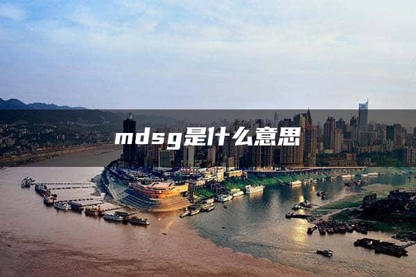 mdsg是什么意思