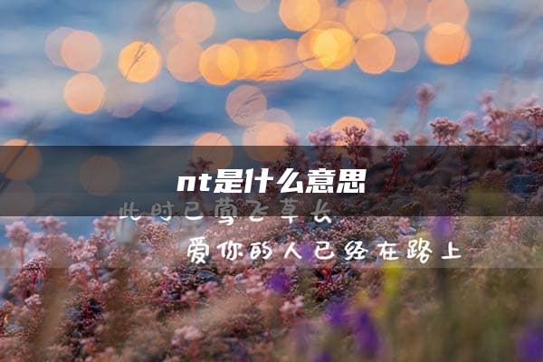 nt是什么意思