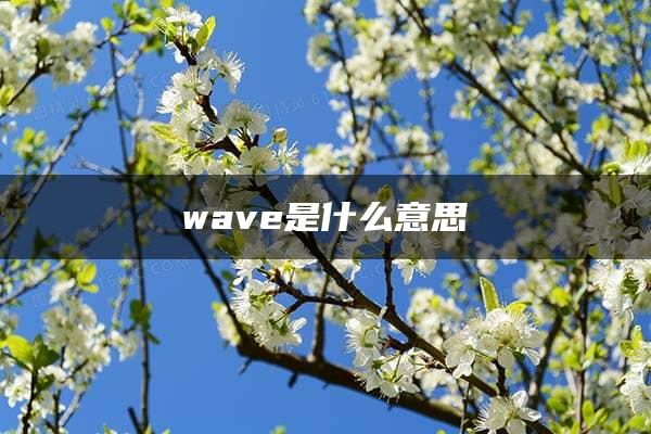 wave是什么意思