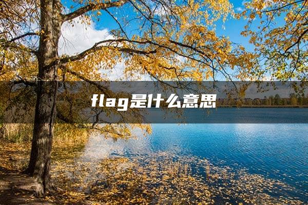 flag是什么意思