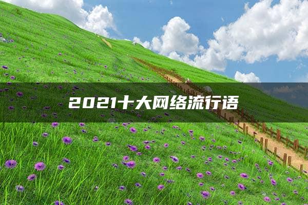 2021十大网络流行语