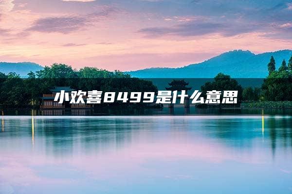 小欢喜8499是什么意思