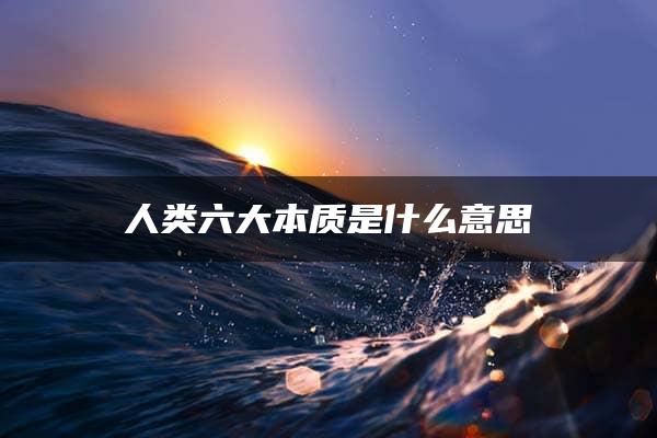 人类六大本质是什么意思